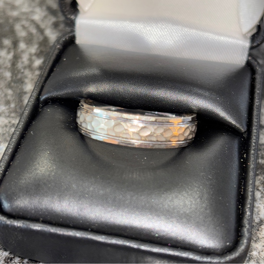 Mens White Gold and Titanium Ring Band